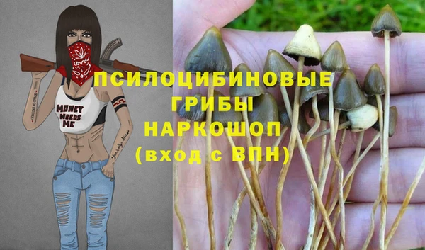 бошки Верхнеуральск