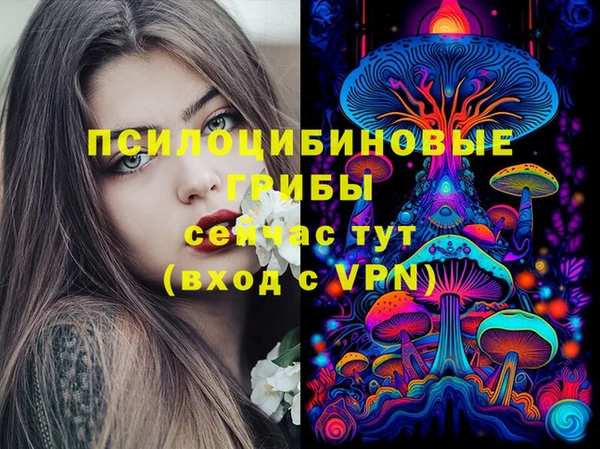 эйфоретик Верхний Тагил