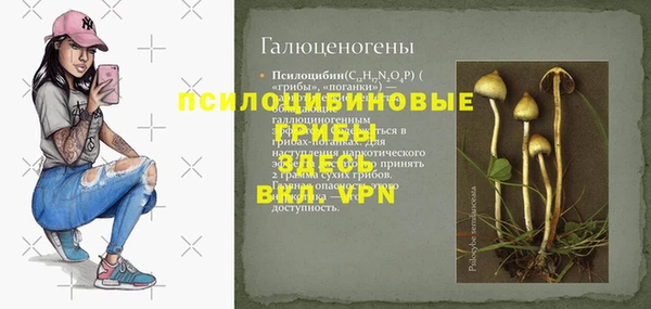 jwh Верея